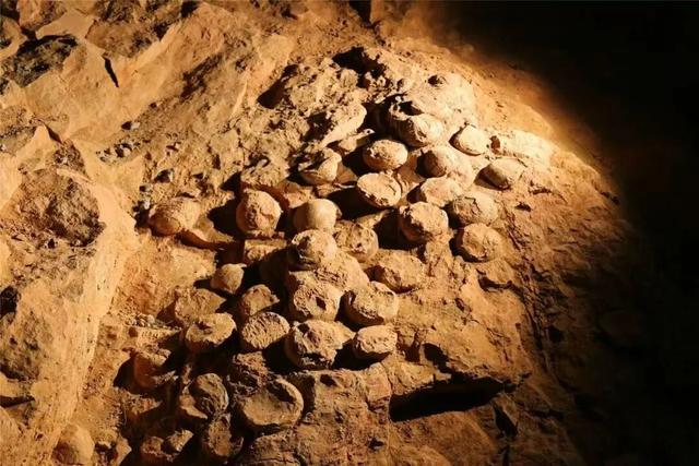 从化石标本到文旅名片，地质遗产活化的“郧阳答案”