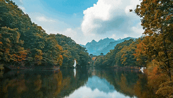 别再问了！洛阳秋色天花板，就藏在这里→