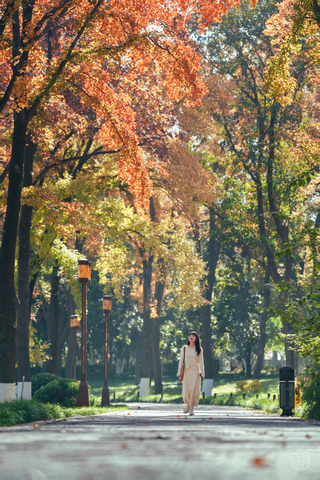 东湖这四处绝美秋景，出片率100%