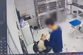 江苏淮安一宠物医院暴力摔打宠物狗，院方致歉：涉事员工已被开除图片