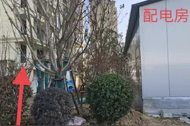 民呼必应｜业主投诉所在小区“违规建设配电房” 宝丰县热线办回应来了图片