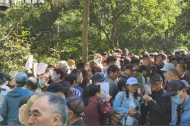 “小孩自己不积极，大人跑断腿” 今天的万松书院，人多得都走不动路图片
