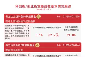 双创板块表现亮眼，易方达创业板ETF联接基金（A/C:110026/004744）等产品受市场关注图片