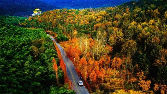 如果你要写溧水的秋天……（文末有福利）