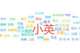 壹点舆见 | 由云南网红“小英一家”疑似塌房浅析“卖惨营销”乱象图片