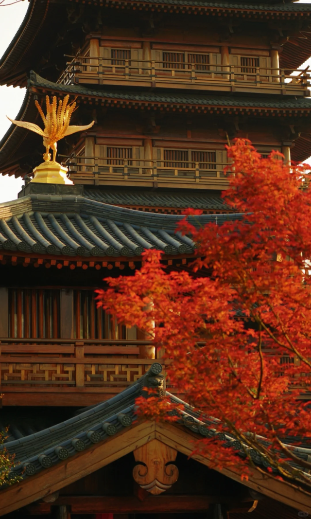 枫叶红了！上海这座古建筑，竟然能一秒穿越回大唐→