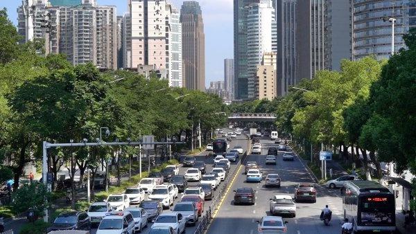 80万株行道树遮住烈日，外卖骑手爱上武汉“林荫自由”