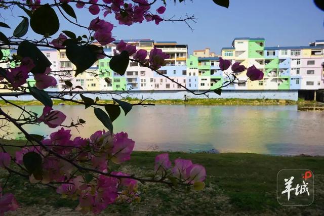 云浮罗定市太西村：彩虹人间 烟火新篇