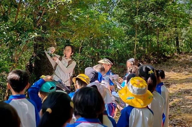 入选省级名单！鼎湖山再添新名片！周末就带娃出发~