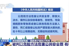 高空抛物致死案抛砖男子被执行死刑，专家详解图片