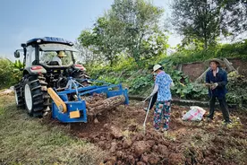 泸州中药材产业发展“带头人”从药农变商人图片
