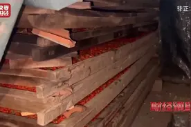 财经调查丨硫磺熏制枸杞现场气味刺鼻！记者直击加工现场图片