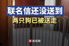 小区大事｜一小区一户养三犬后续：联名信还没送到，两只狗已被送走图片