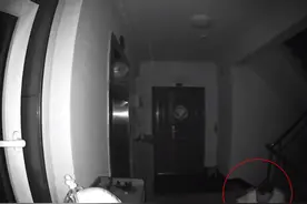 男子跑山东一小区女业主家门口偷闻鞋？物业：已报警，去年抓到2个图片