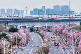 复兴号穿越花海！3条绝美高铁线经过你家乡！图片