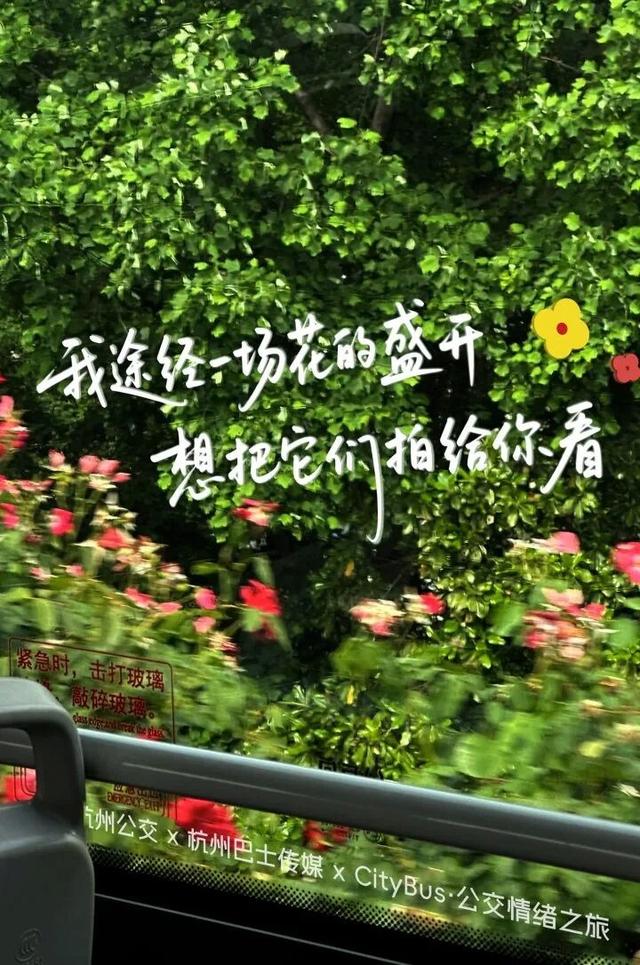 杭州，你又会了！