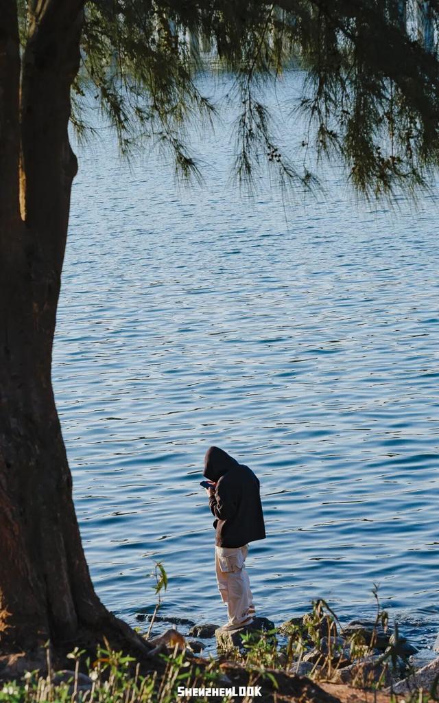 “看牛看海看夜景，深圳骑行路线精选”