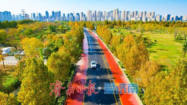 一年四季 泉在济南丨秋日彩叶映通途 一路风光伴出行