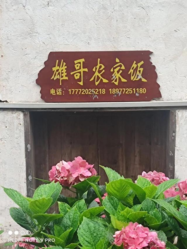 邀您打卡东起乡 解锁秋日限定山水画卷
