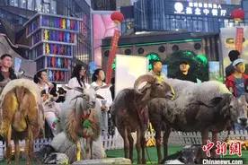 把草原搬进city  青海泽库花式推介高原牧品图片