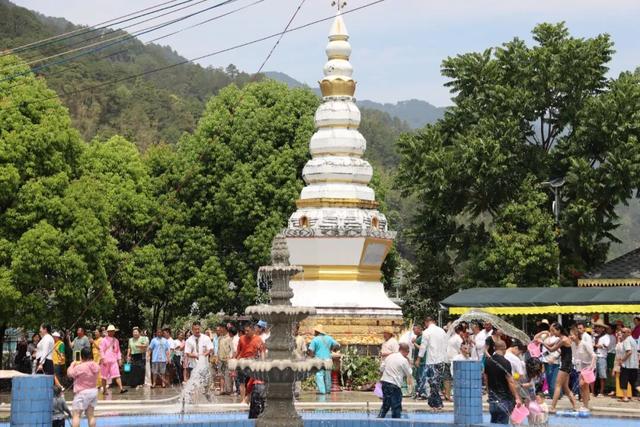 带上家人，到章驮乡摘甜甜的白草莓！