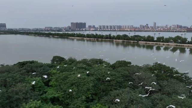 睢县：做活“水文章” 绘就生态宜居新画卷