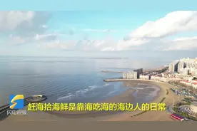龙口市：海边捡蛤蜊 收获满满冬日“海趣”图片