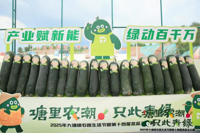 以文旅为线，串起三水“百千万”的诗与远方丨“百千万”三年蝶变