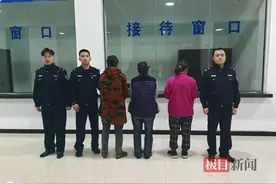 三闺蜜见“材”起意，组团盗窃工地被抓现行图片