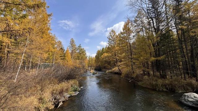 假期闲记（三）