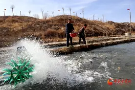 临泽：握紧特色水产“金钥匙”解锁乡村振兴“致富门”图片