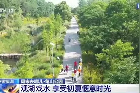 与巢湖碧波“亲密接触” 一起来龟山公园畅游图片