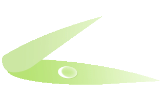 降温+降雨！马上到江阴！