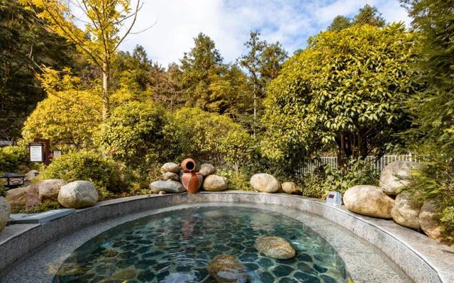 打工人的解压密码！在神农谷森林浴场，找回满格快乐