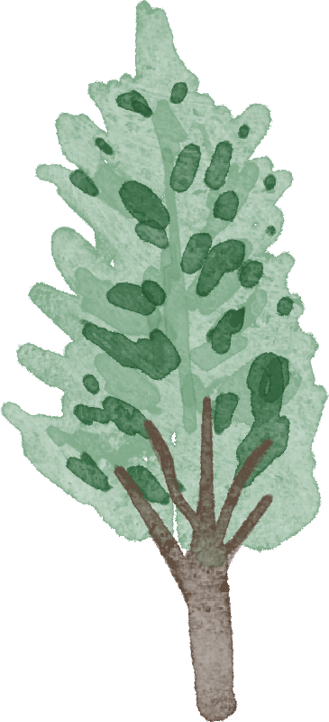 层林尽染赏秋时！宝山11月文旅活动清单，超多活动等你来打卡