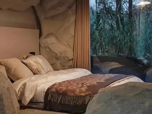 骑行天花板！这条5.6km治愈路线，串联森林与田园风光