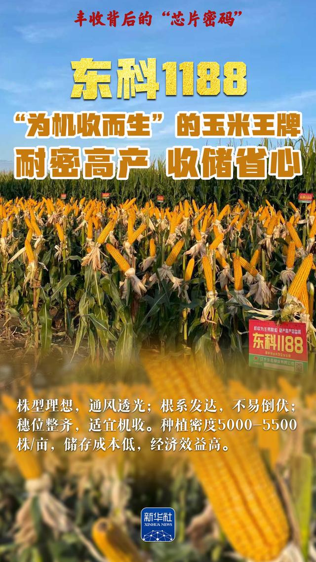 丰收背后的“芯片密码”