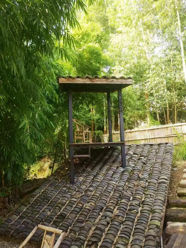 天府新区「村咖指南」