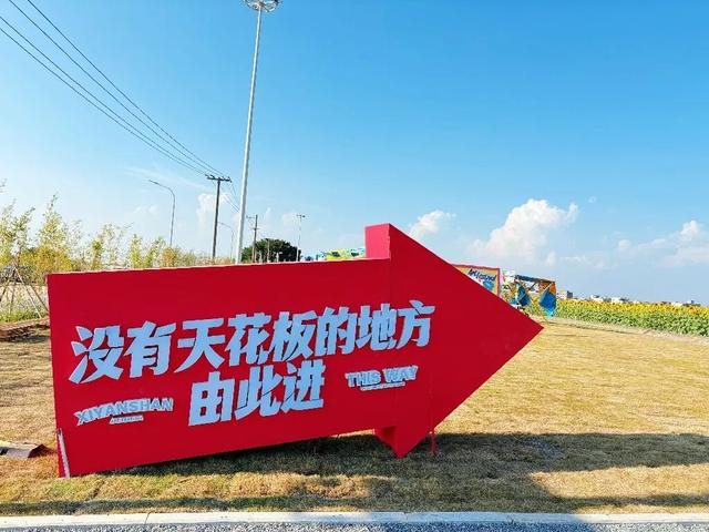 没有技巧，就是硬美！向日葵花海+稻田出片100%