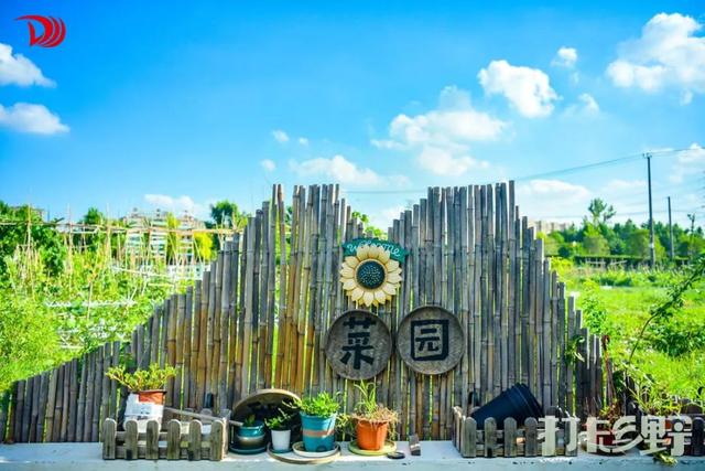 打卡乡野丨当云朵“坠”入窗沿，我在魔都近郊找到了现实版“归园田居”