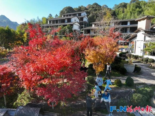 颜值巅峰！福州这个宝藏村落，正上演年度色彩盛宴！