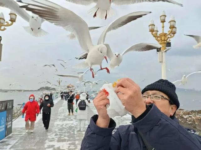 雪后青岛，限定美景上线~