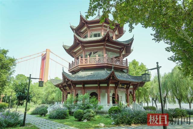 走进鹦鹉洲，徜徉在芳草萋萋的诗意里