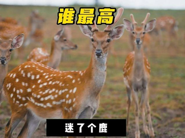 北京号最精彩 | 游船、浅滩应有尽有！城市副中心30个公园变身“清凉秘境”