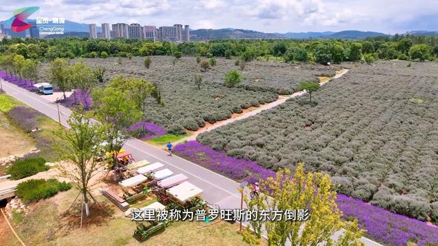 把暑期交给呈贡 | 在滇池绿道尽情体验跑步的畅快
