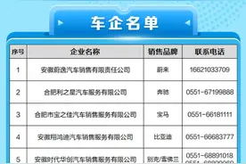 最高补贴1.6万元！合肥经开区将发放超600万元汽车消费补贴图片