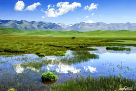 张掖篇：祁连山生态保护中的加减法图片