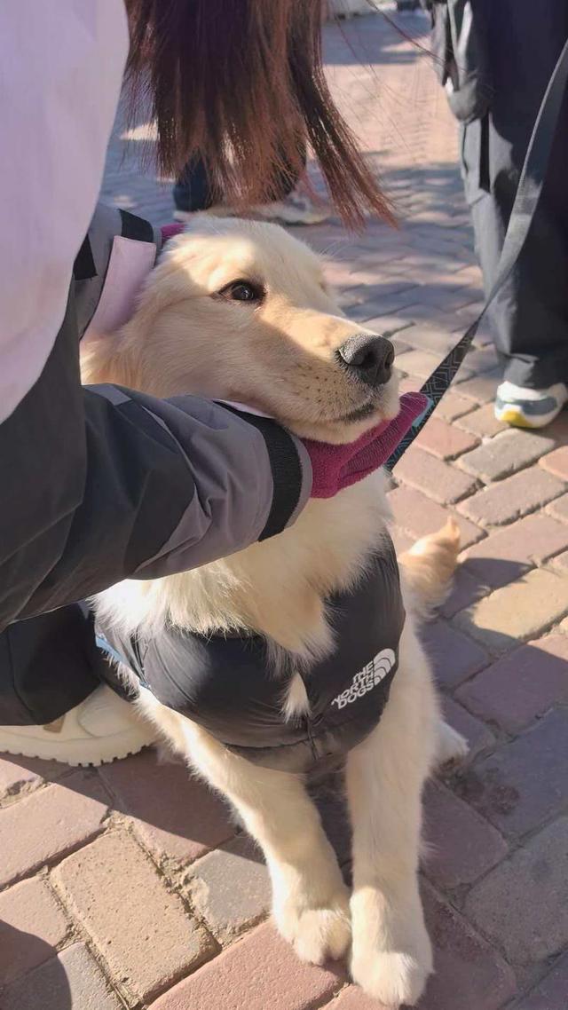 追求速度亦不忘慢生活 张家口将打造全国最大户外亲子娱雪乐园