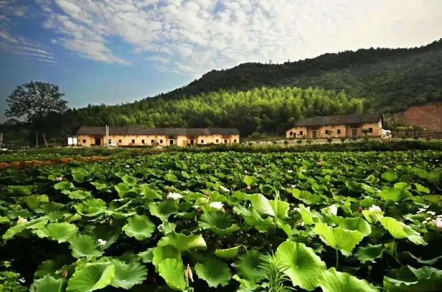 湖北一地宣布：凭球票免费游景区