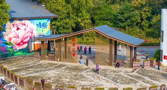 起猛了，我在洛阳被「牡丹」包围了！